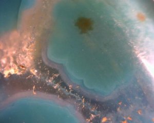 312640_1931351174765_1571823516_31517088_225742874_n[1].jpg