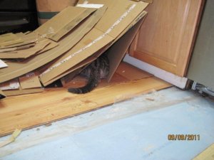 floor before.jpg
