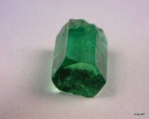 373031888_o[1].jpg