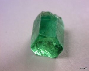 373031894_o[1].jpg