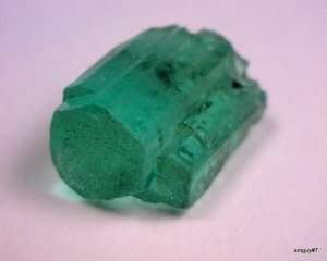 373172990_o[1].jpg
