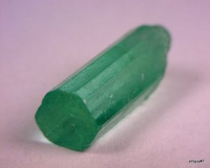 373226329_o[1].jpg