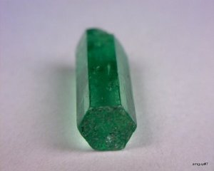 373239286_o[1].jpg