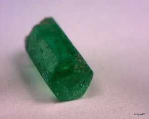 374650423_o[1].jpg