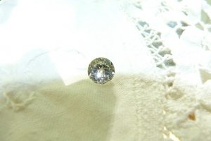 .93 transitional cut 025.JPG