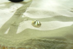 .93 transitional cut 010.JPG