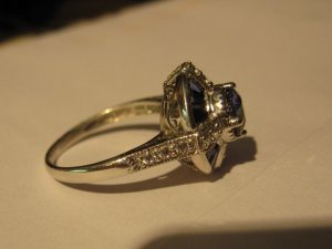 8104953.jpg
