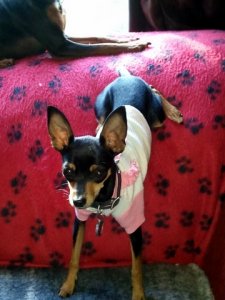 CameraZOOM-20111008173225-1.jpg