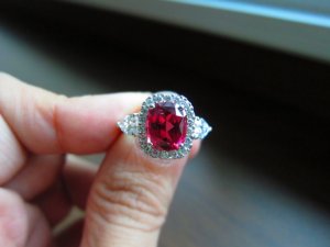 IMG_2392.JPG