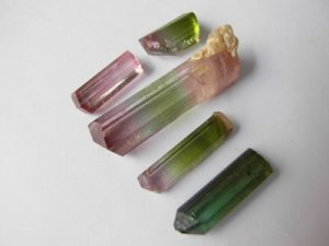 bi-color tourmalines from afghanistan 1.JPG