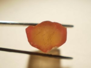Different pink rind with peach center tourmaline same location(pak or afghan).jpg
