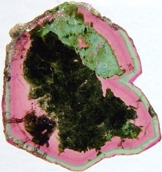 14.65 cts. Polychrome tourmaline  Slice.jpg