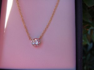 DSC01658rs.jpg