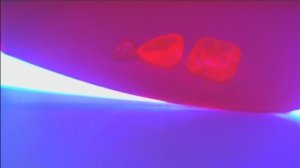 RED.jpg
