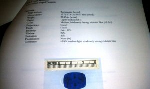 IMAG0167.jpg