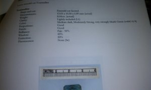 IMAG0166.jpg
