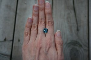 2011_10_23 056.jpg 2011_10_23 056.jpg