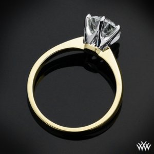 contemp tiffany WF 2.jpg