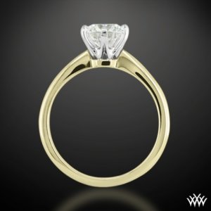 contemp tiffany WF 3.jpg
