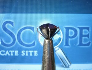 paratourmscope2.jpg paratourmscope2.jpg