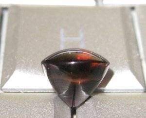 paratourmAWB1.jpg