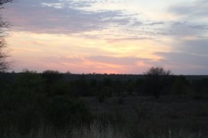 african sunrise.JPG