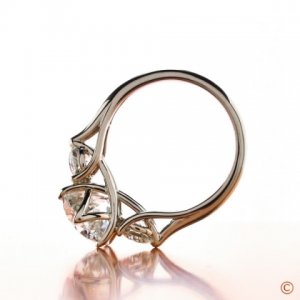 rosettas3stoneinsp.JPG