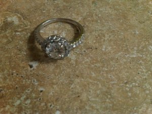 IMG01000-20111113-1113.jpg