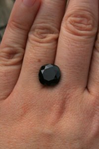 hand_shot_light_opt[1].jpg
