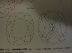 Photo - Ring Plot1.png