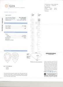 pearFSI1cert2.jpg pearFSI1cert2.jpg