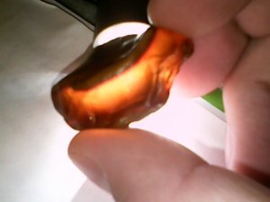 orange 6.jpg