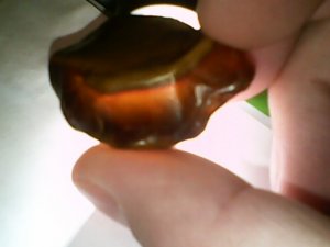 orange 7.jpg