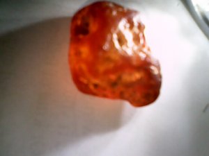 orange 8.jpg
