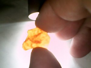 orange 13.jpg