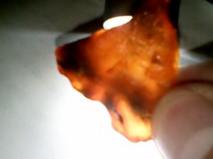 orange 16.jpg