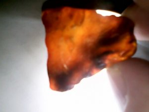 orange 17.jpg