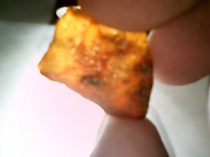orange 18.jpg