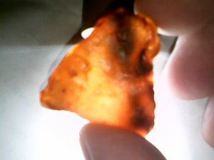 orange 19.jpg