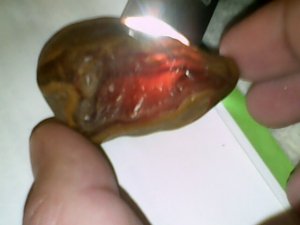orange red 2.jpg