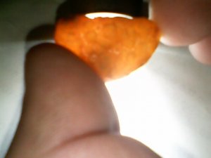 orange yellow2.jpg