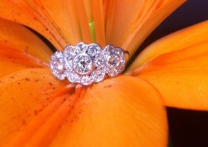 flower pic.jpg