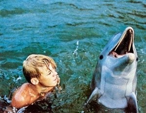 flipper-300x233.jpg