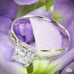 W-Prong-White-Gold-Princess-Cut-Solitaire-Engagement-Ring-by-Whiteflash-31181_g.jpg