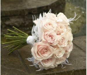 rose with feathers.jpg