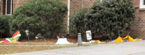 IMG_1170.JPG