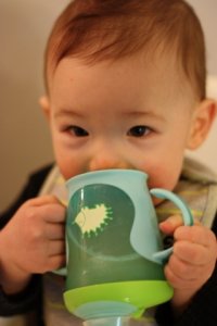 IMG_2407.jpg
