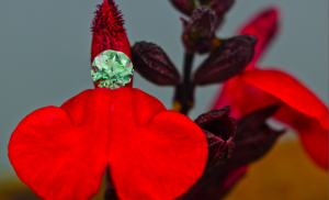 Green.png