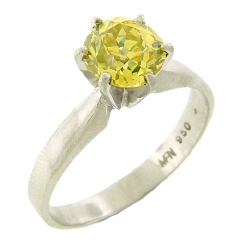 Ring (10717716).JPG