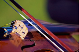 strings.PNG